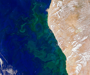 Imagen del océano desde el espacio